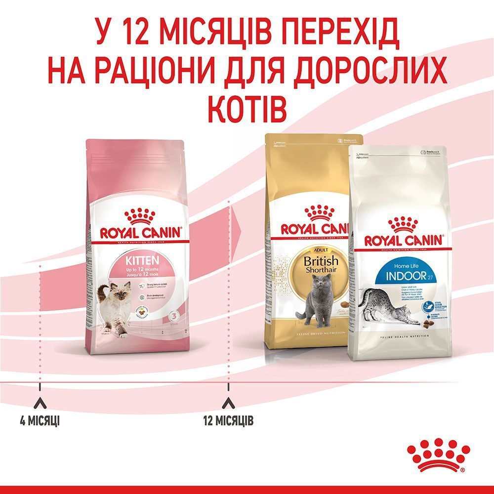 Сухий корм для кошенят Royal Canin Kitten 3,2 кг + 800 г