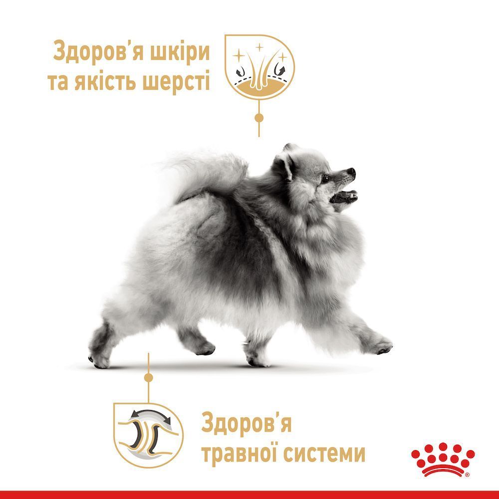 Сухий корм для собак Royal Canin Pomeranian Adult 500 г