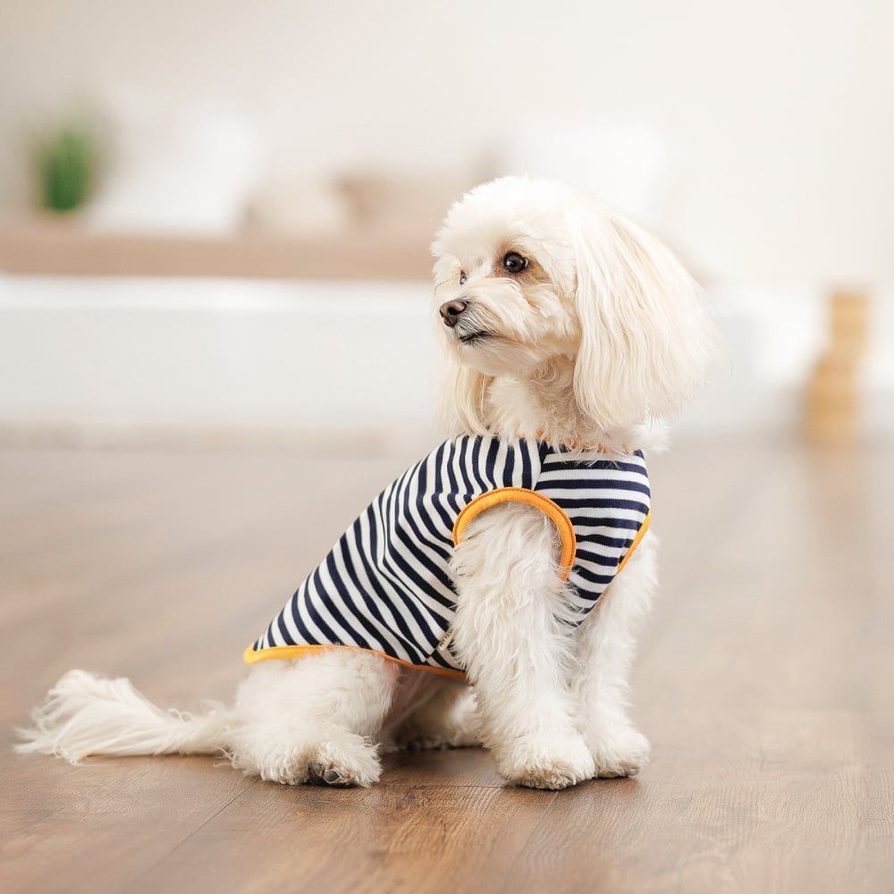 Pet Fashion Kale борцівка для собак L - різнокольорова Pet Fashion Kale борцівка для собак L - різнокольорова