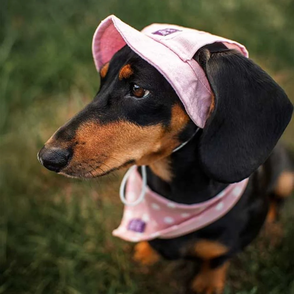 Панама для собак Hat-Dog S - рожевий Панама для собак Hat-Dog S - рожевий