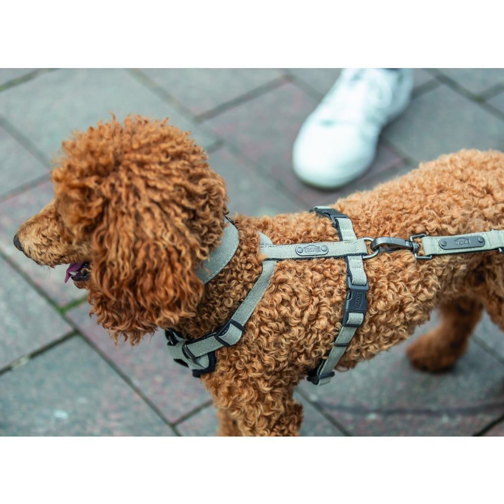 Trixie CityStyle Extra Wide нашийник для собак XS–S - світло-сірий