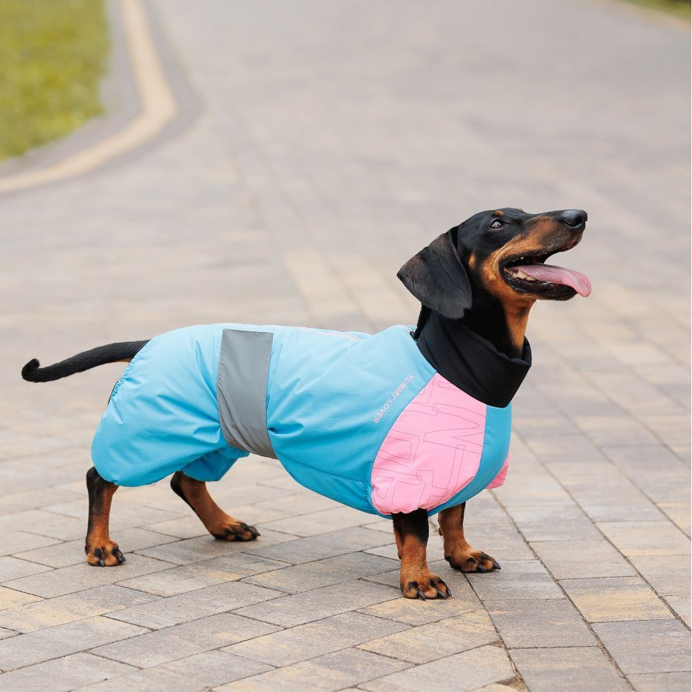 Pet Fashion Milly комбінезон для собак L коргі