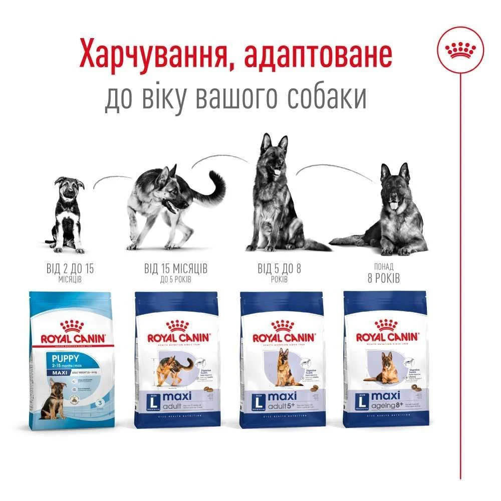 Сухой корм для собак Royal Canin Maxi Adult 3 кг - домашняя птица