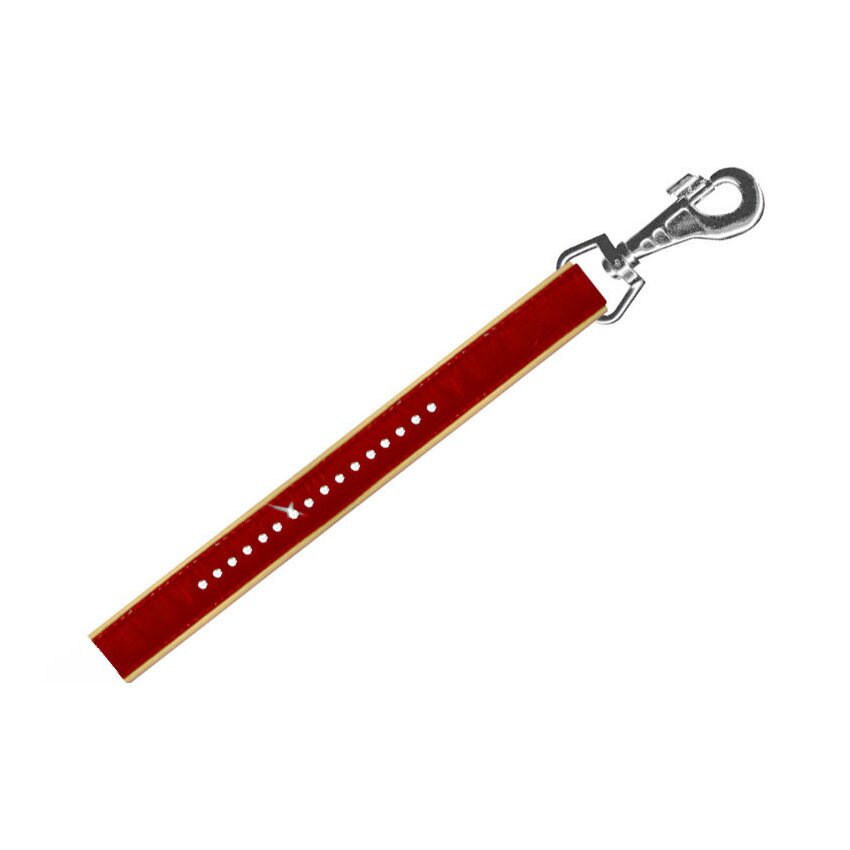 Поводок Collar кожаный с крупными стразами «Brilliance» (Бриллианс) 1,22 м / 18 мм (красный, синий, черный) Поводок Collar кожаный с крупными стразами «Brilliance» (Бриллианс) 1,22 м / 18 мм (красный, синий, черный)