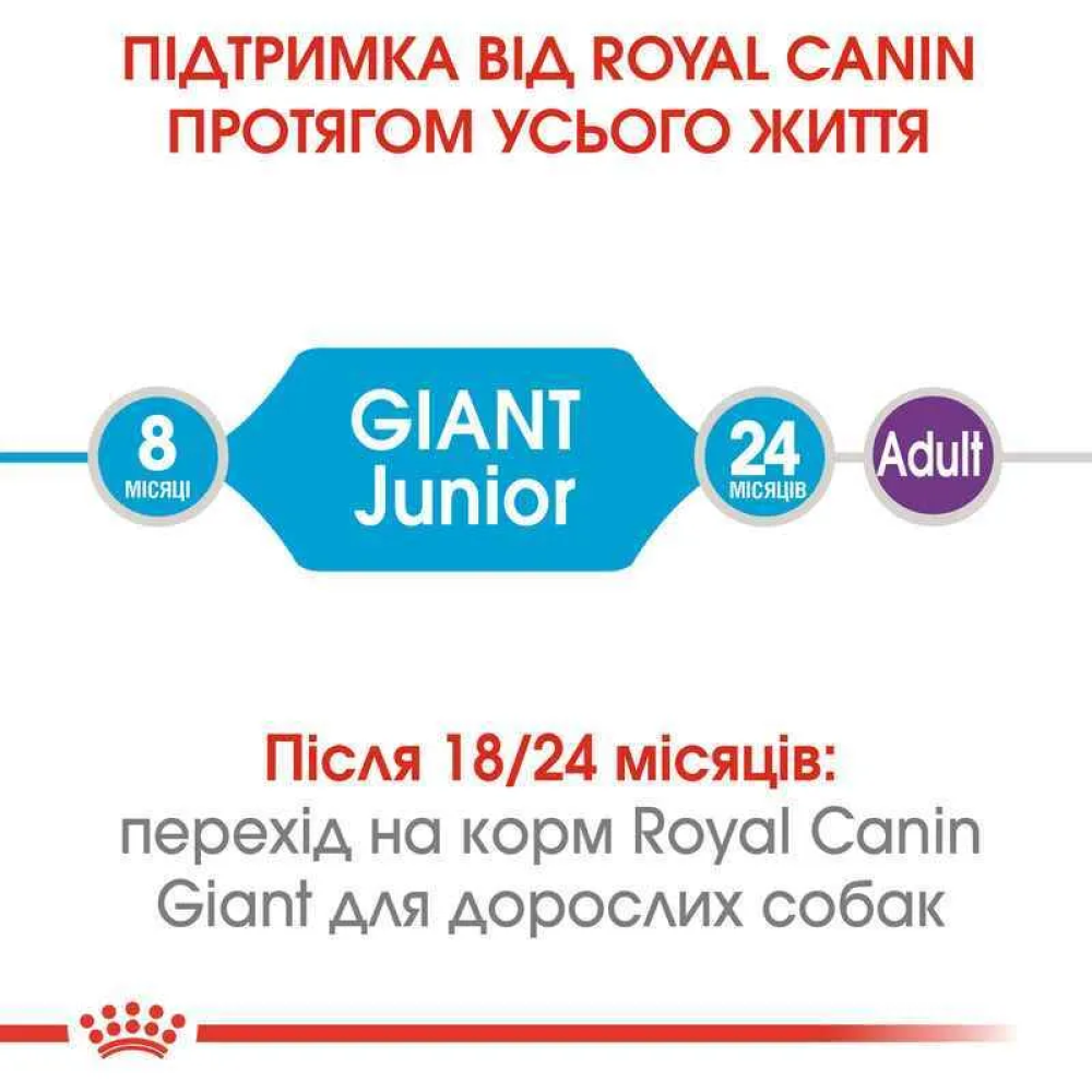 Сухий корм для цуценят Royal Canin Junior Giant 15 кг Сухий корм для цуценят Royal Canin Junior Giant 15 кг