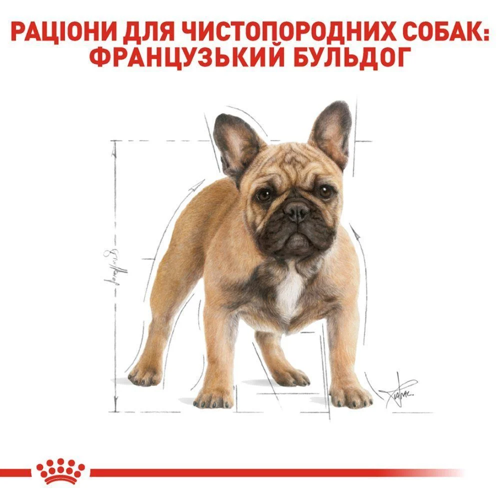 Сухой корм для собак Royal Canin French Bulldog Adult 1,5 кг Сухой корм для собак Royal Canin French Bulldog Adult 1,5 кг