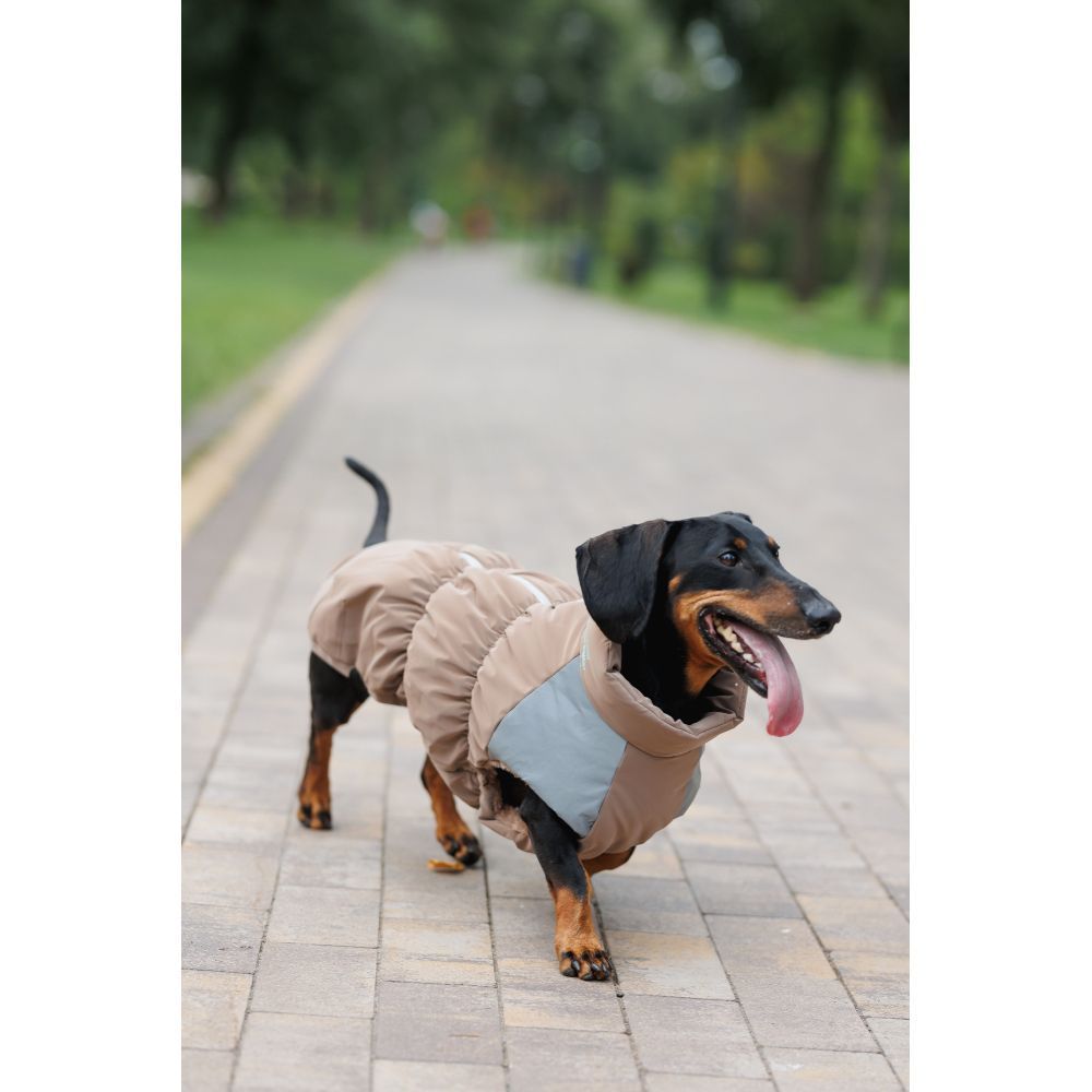 Жилет для собак Pet Fashion Chip S