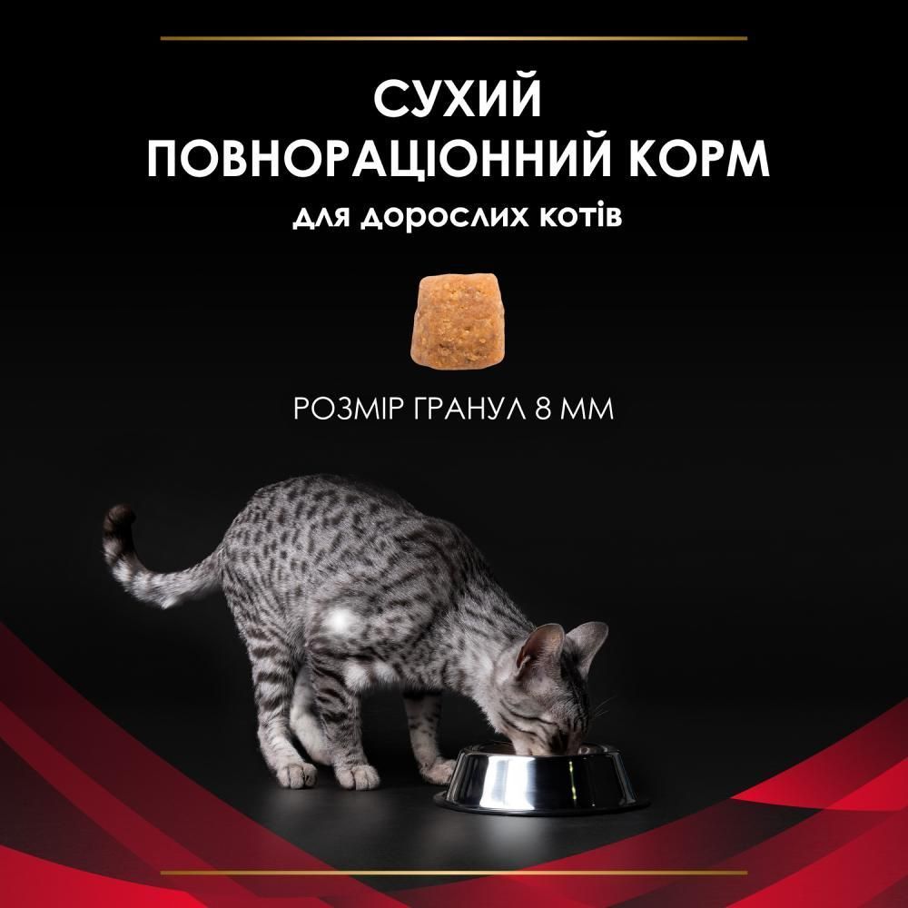 Сухой корм для кошек Pro Plan Veterinary Diets Diabetes Management 1,5 кг Сухой корм для кошек Pro Plan Veterinary Diets Diabetes Management 1,5 кг
