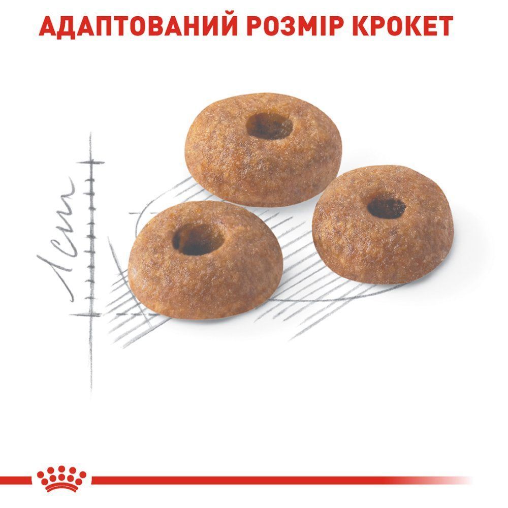 Сухой корм для кошек Royal Canin Fit 32 400 г
