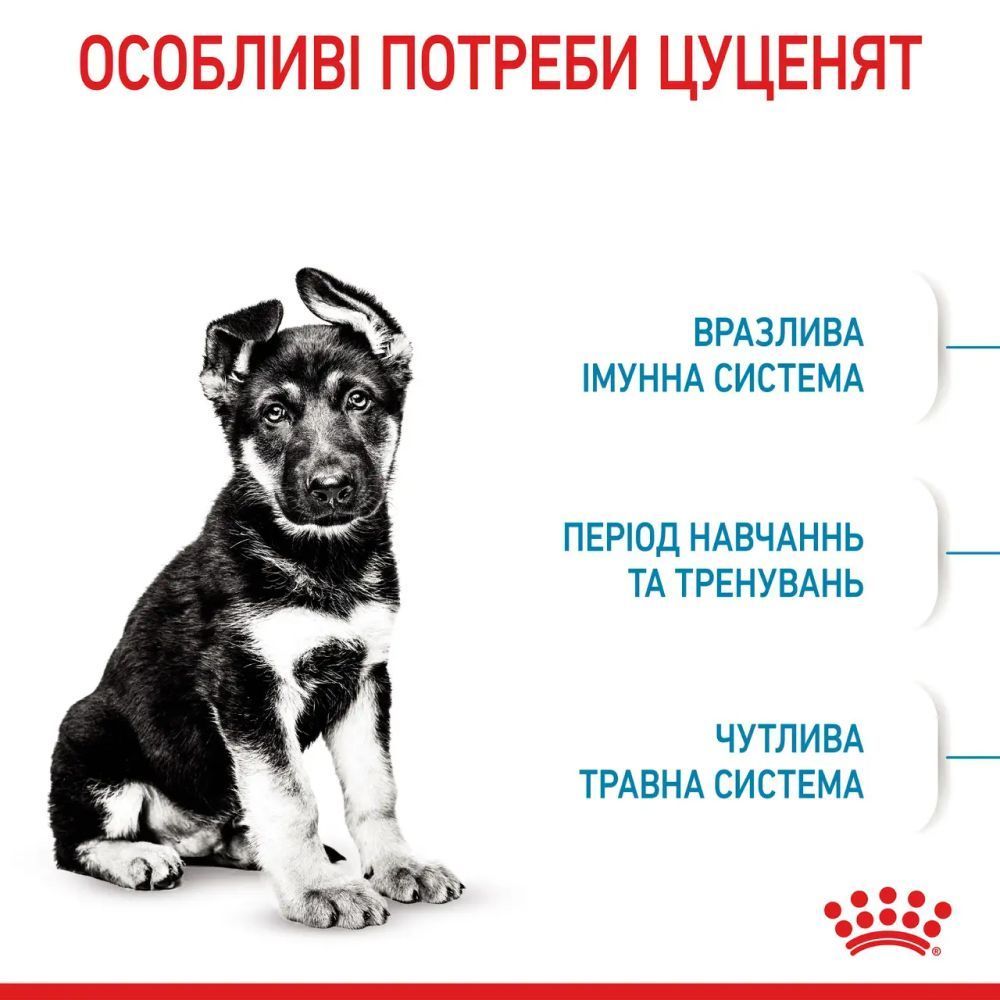 Cухий корм для цуценят Royal Canin Maxi Puppy 3,2 кг + 800 г