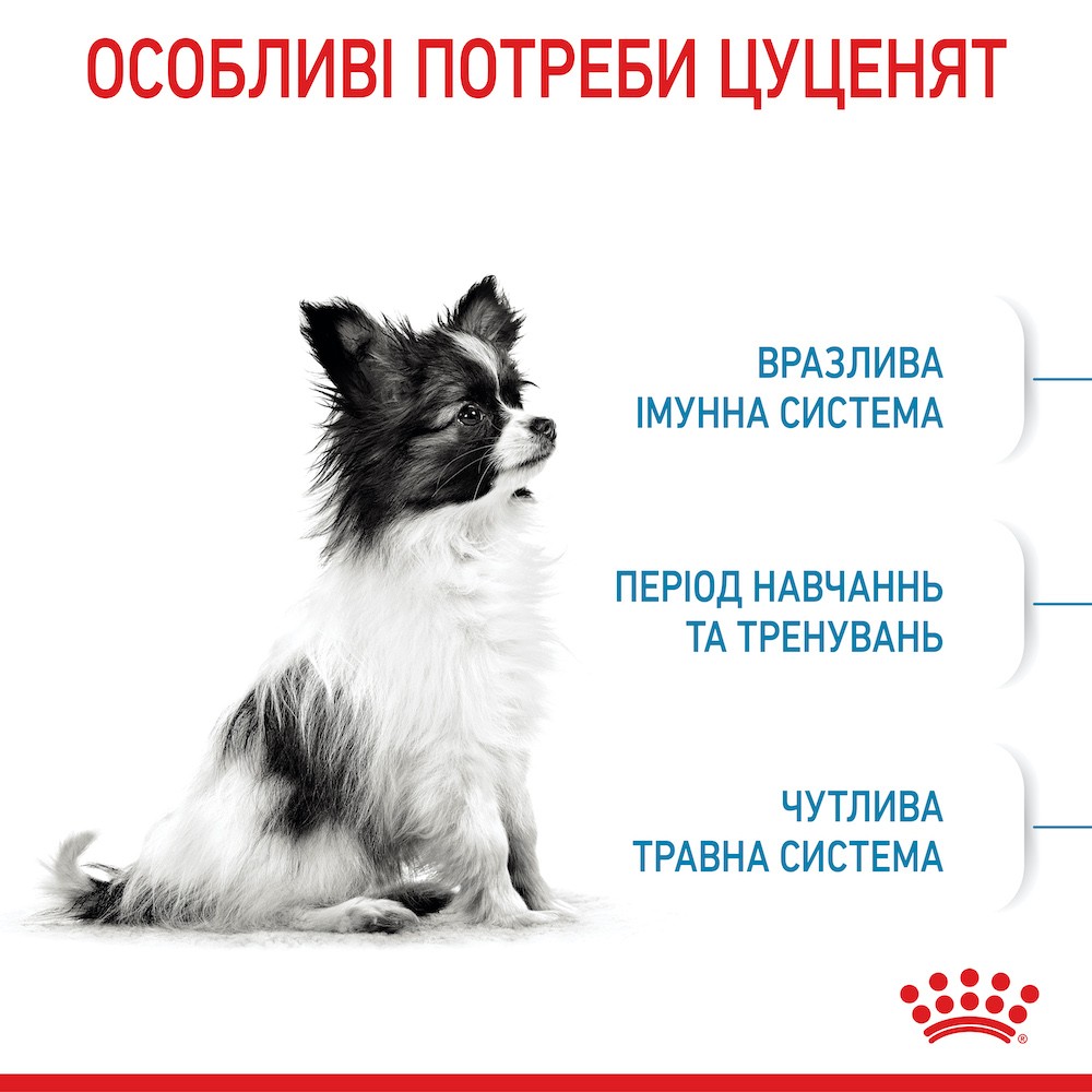 Набір сухого та вологого корму для цуценят Royal Canin Puppy X-Small 1,5 кг + 4 шт х 85 г