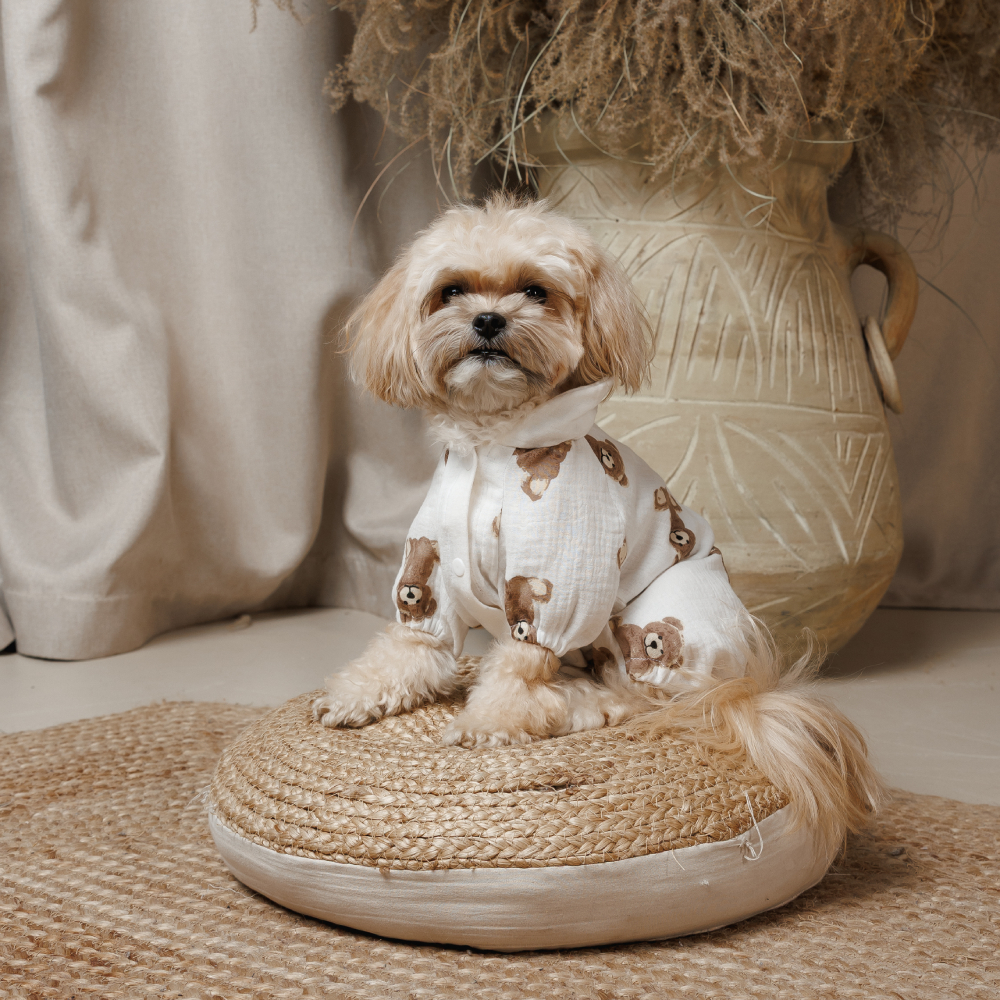 Комбінезон для собак Pet Fashion Pluto XXS - білий Комбінезон для собак Pet Fashion Pluto XXS - білий