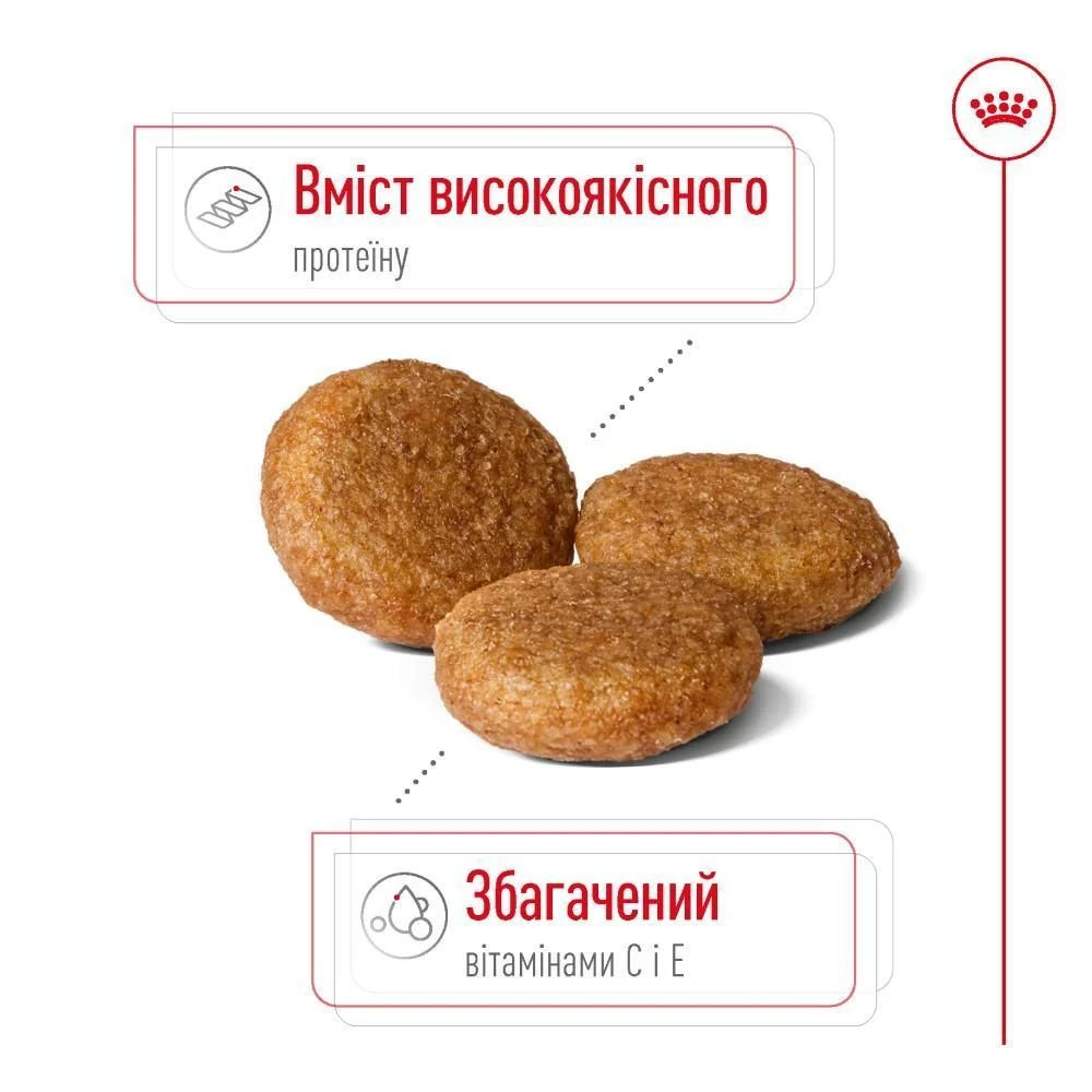 Сухий корм для собак Royal Canin Medium Adult 3 кг - домашня птиця Сухий корм для собак Royal Canin Medium Adult 3 кг - домашня птиця