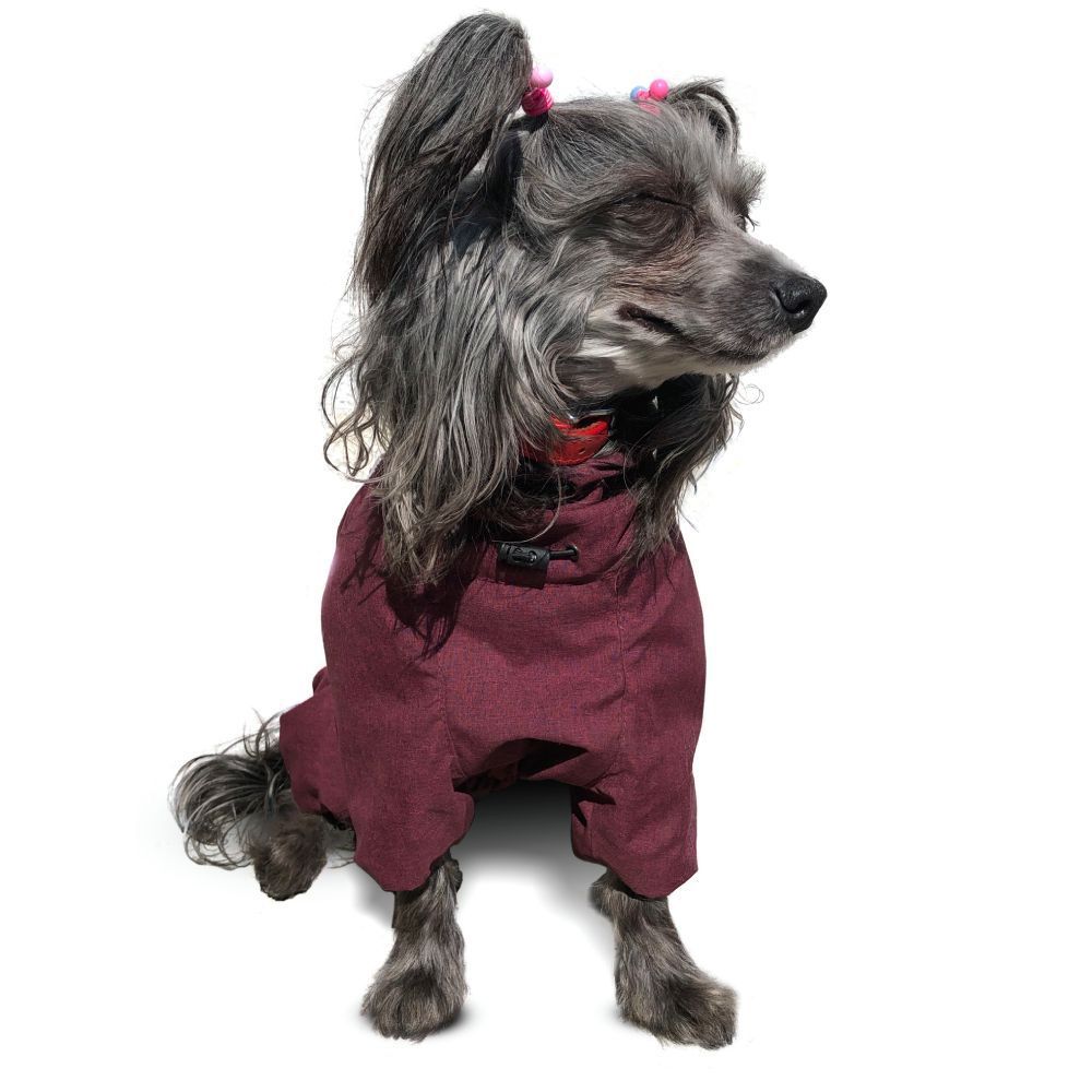 Комбінезон для собак Noble Pet Travis M - бордовий