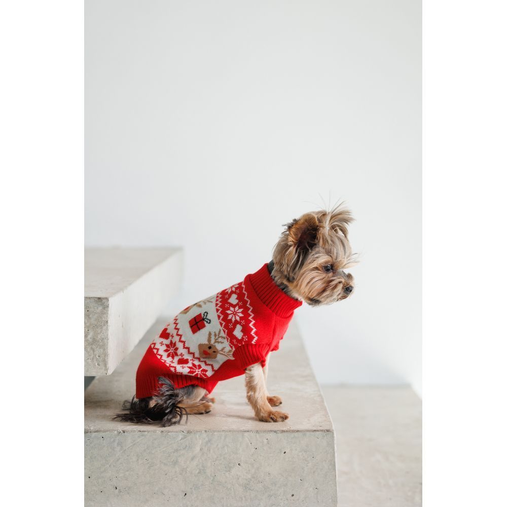 Светр для собак Pet Fashion Winter XS