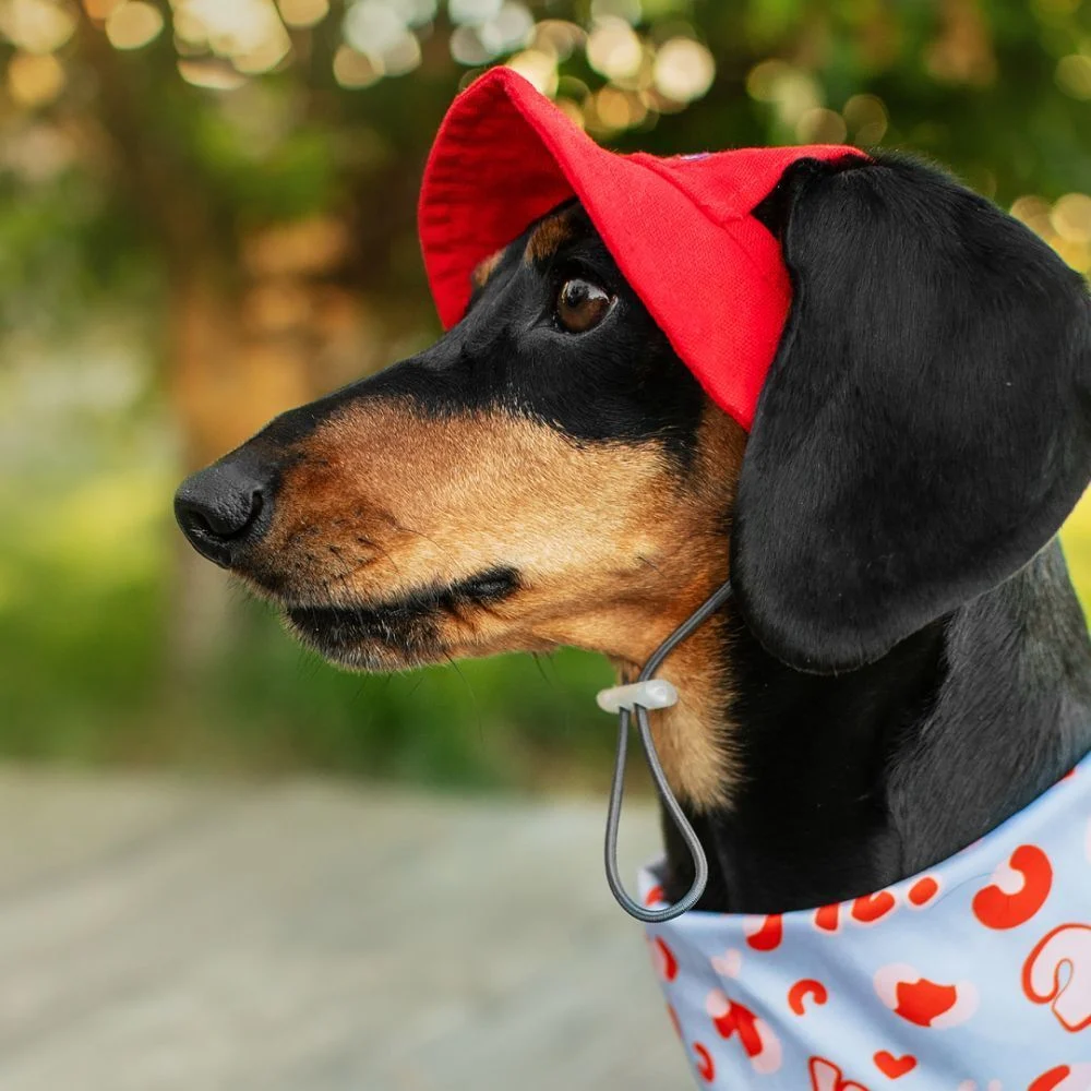 Панама для собак Hat-Dog M - червоний Панама для собак Hat-Dog M - червоний
