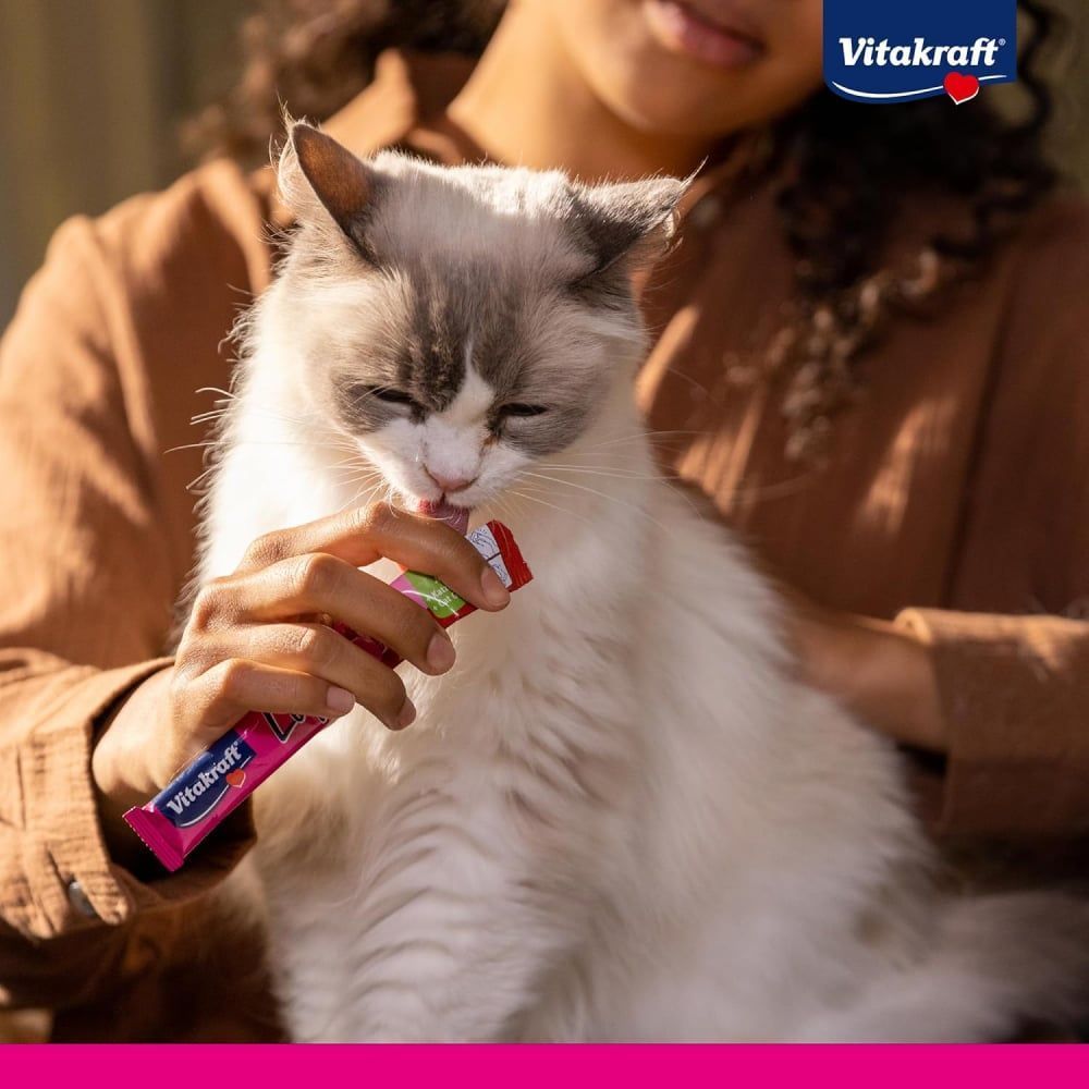 Ласощі для котів Vitakraft Liquid Snack 15 г - курка Ласощі для котів Vitakraft Liquid Snack 15 г - курка