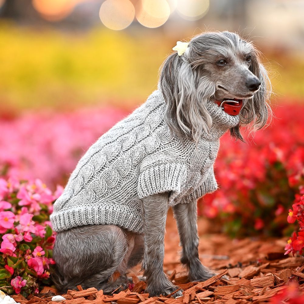 Noble Pet Antony светр для собак XS - сірий