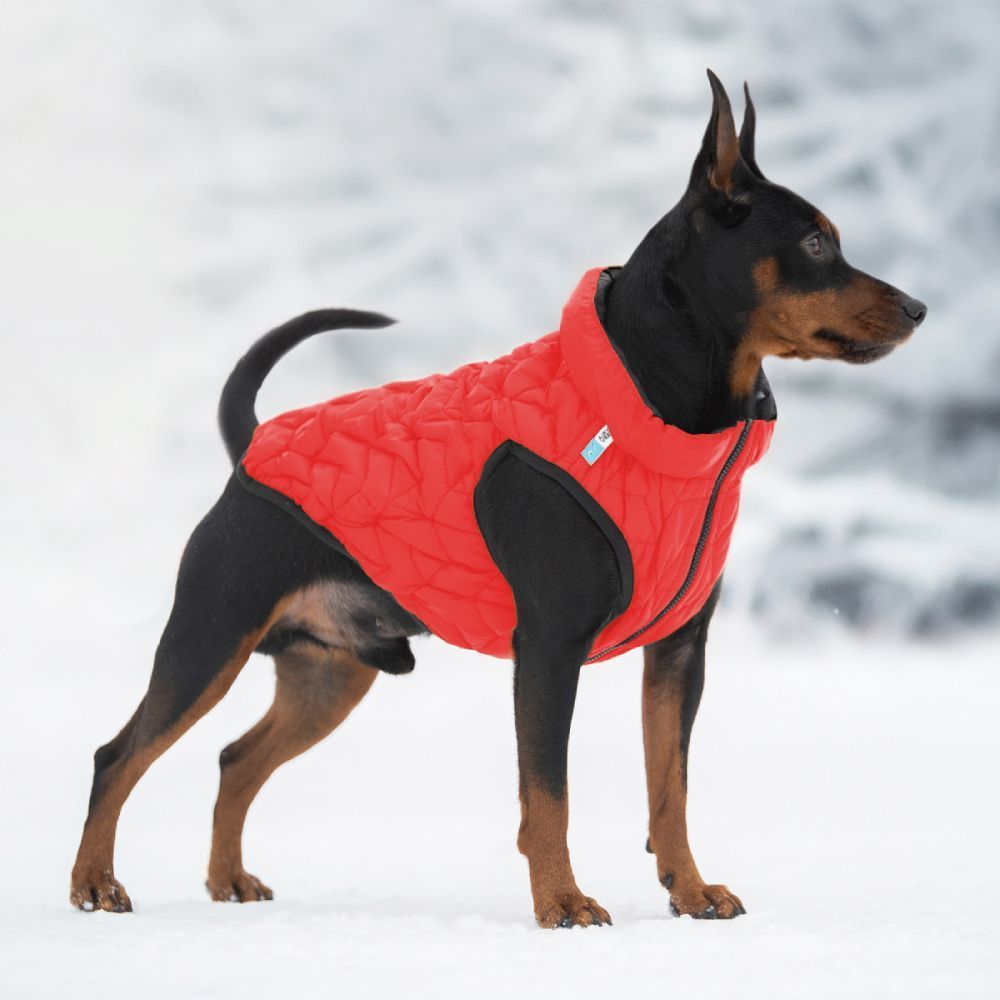 Collar AiryVest UNI куртка для собак M-48