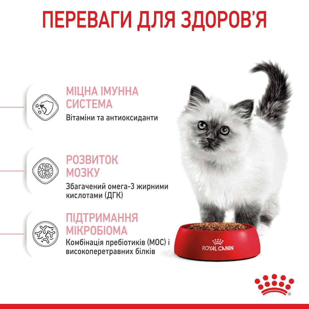 Набір сухого та вологого корму для кошенят Royal Canin Kitten 2 кг + 4 шт х 85 г