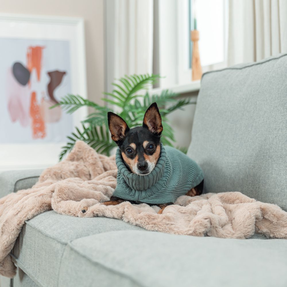Светр для собак Trixie CityStyle Berlin XS - зелений