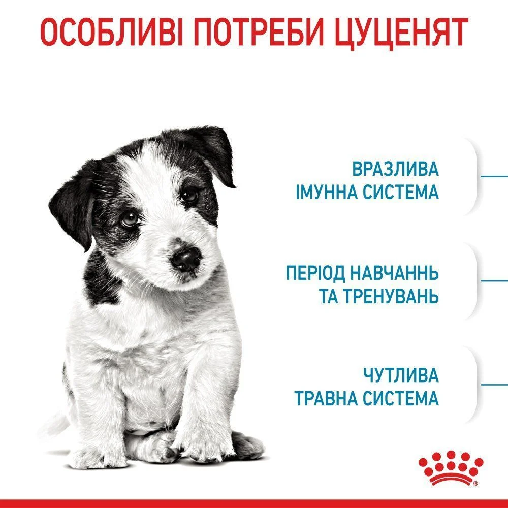 Сухой корм для щенков Royal Canin Puppy Mini 8 кг + Таблетки Bravecto для собак 4,5-10 кг