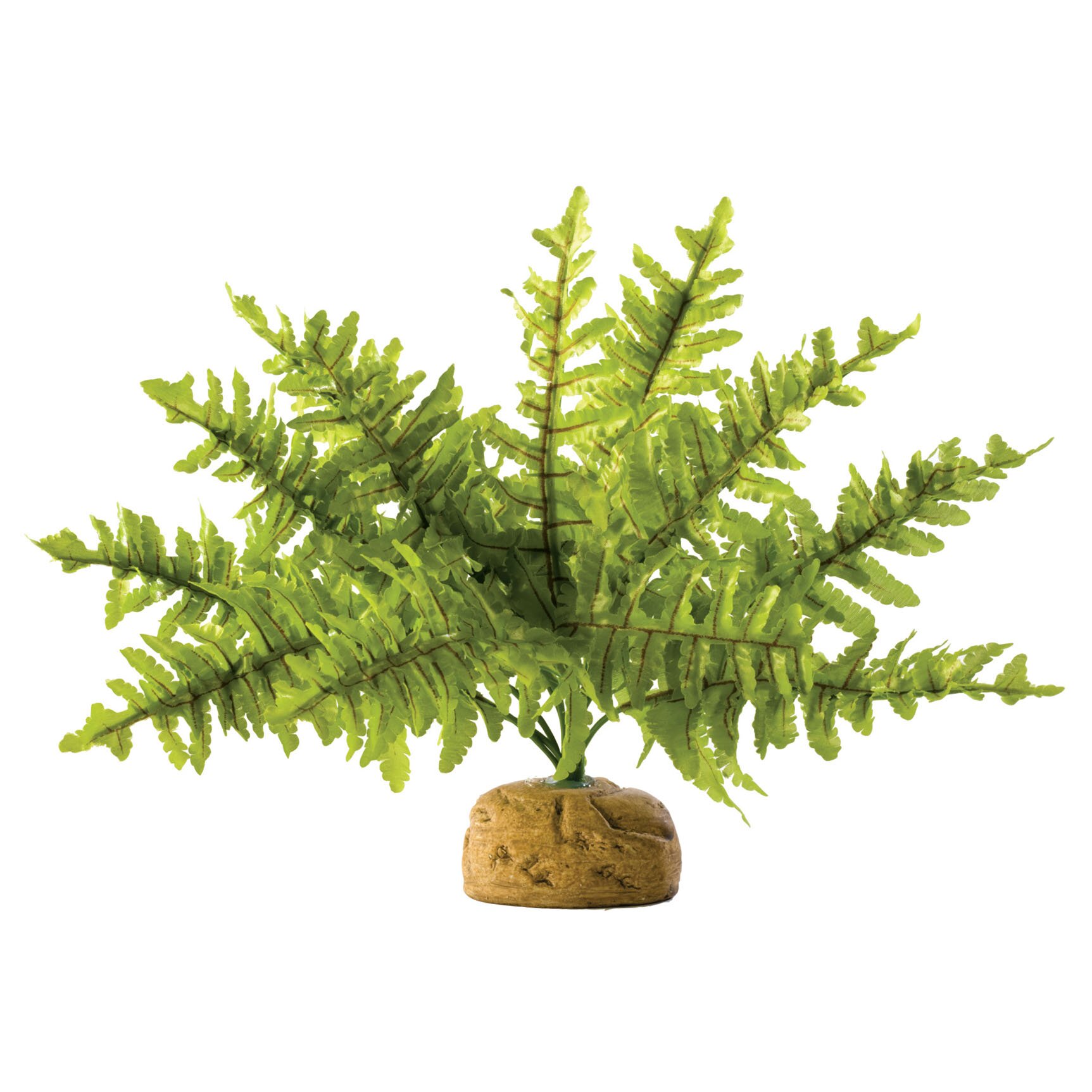 Декорація для тераріума Exo Terra рослина на підставці «Boston Fern» S Декорація для тераріума Exo Terra рослина на підставці «Boston Fern» S
