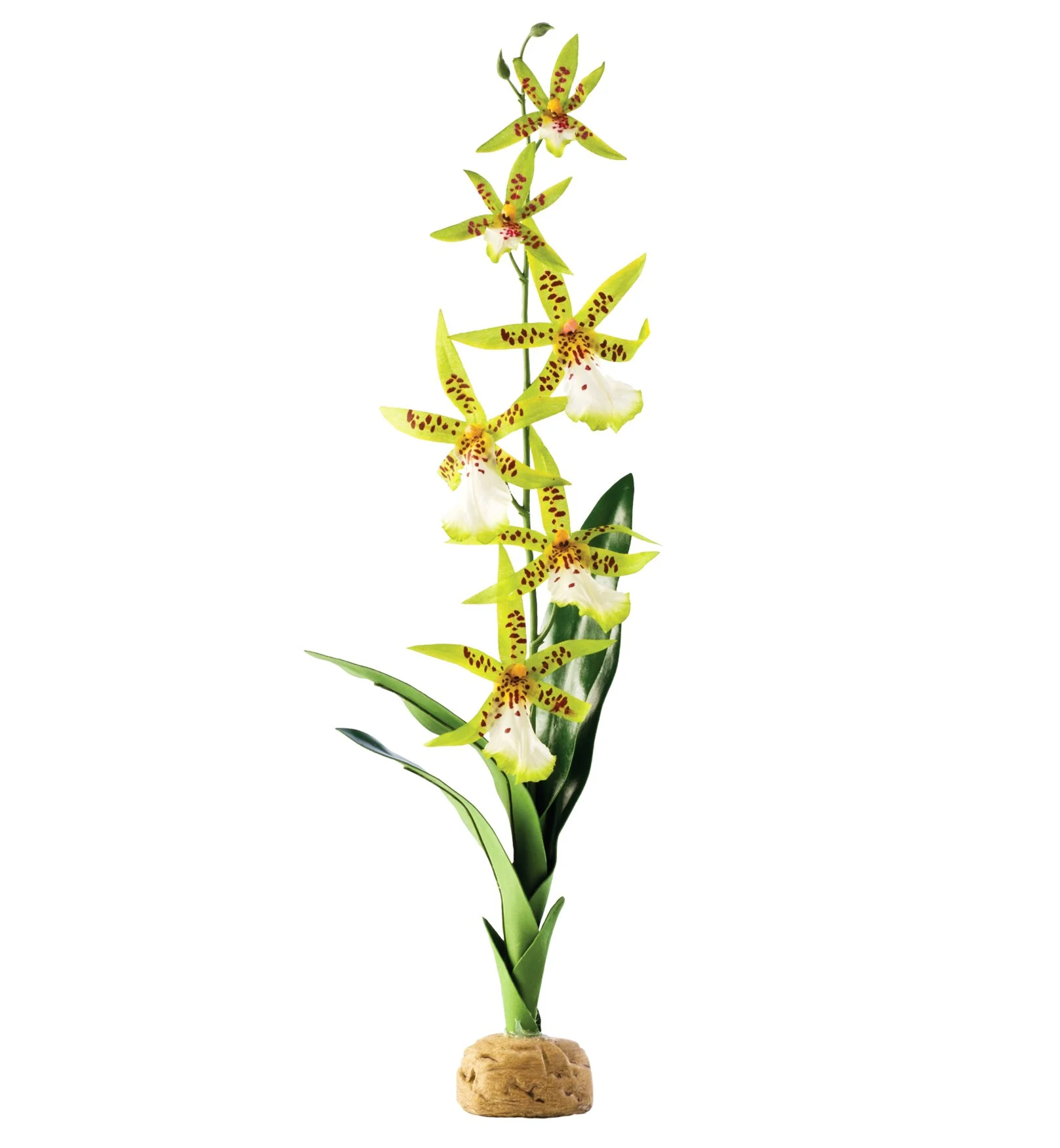 Exo Terra Spider Orchid декорація для тераріума Exo Terra Spider Orchid декорація для тераріума