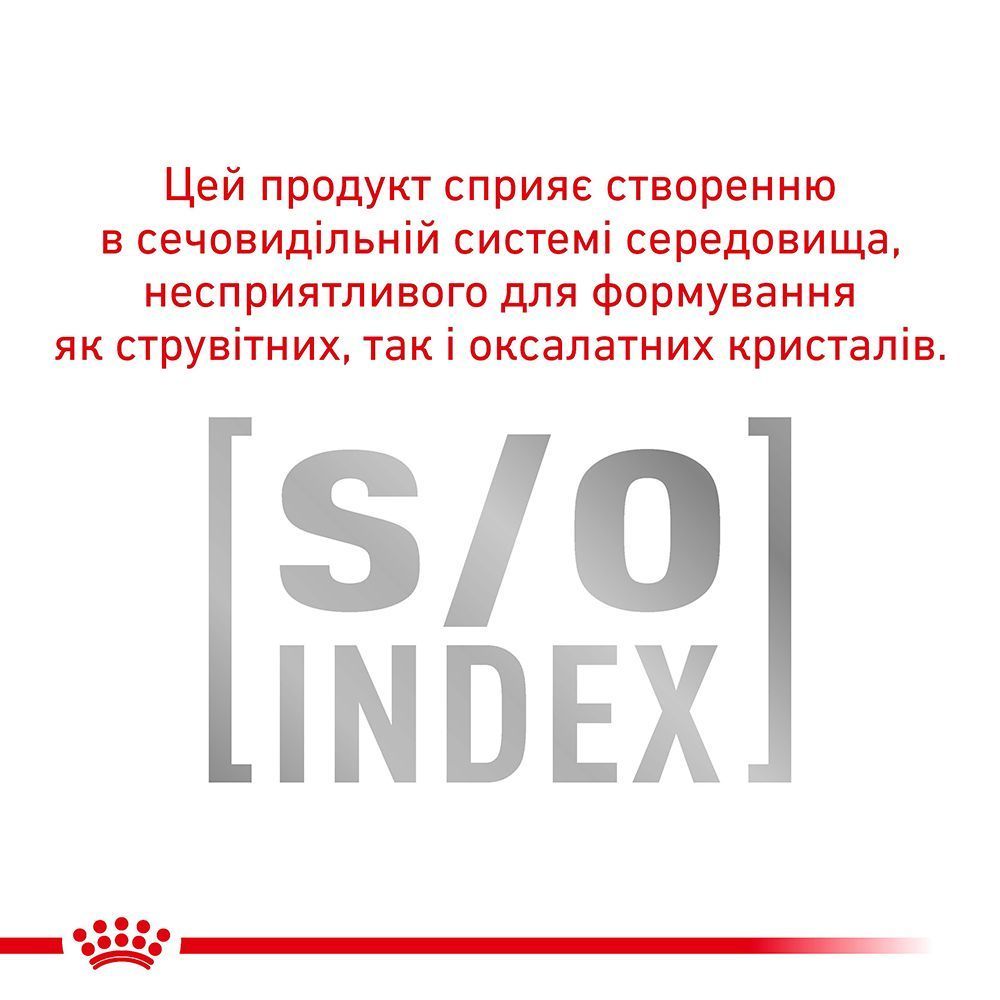 Royal Canin Urinary S/O набор сухого и влажного корма для кошек 1,5 кг + 4 шт х 85 г