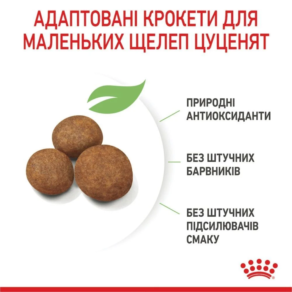 Сухой корм для щенков Royal Canin Maxi Puppy 1 кг Сухой корм для щенков Royal Canin Maxi Puppy 1 кг