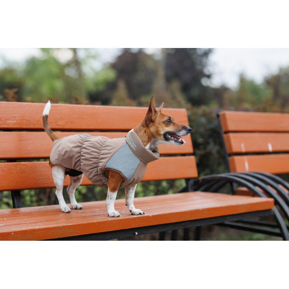 Жилет для собак Pet Fashion Chip S
