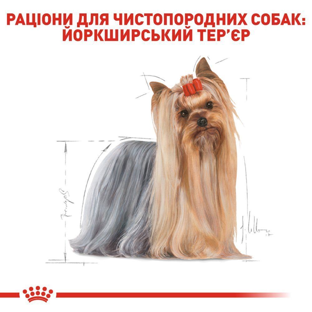 Упаковка влажного корма для собак Royal Canin Yorkshire Terrier Adult 9+3 шт. х 85 г