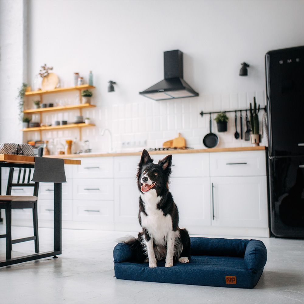 Noble Pet London лежак для собак 80x60 см - синій Noble Pet London лежак для собак 80x60 см - синій