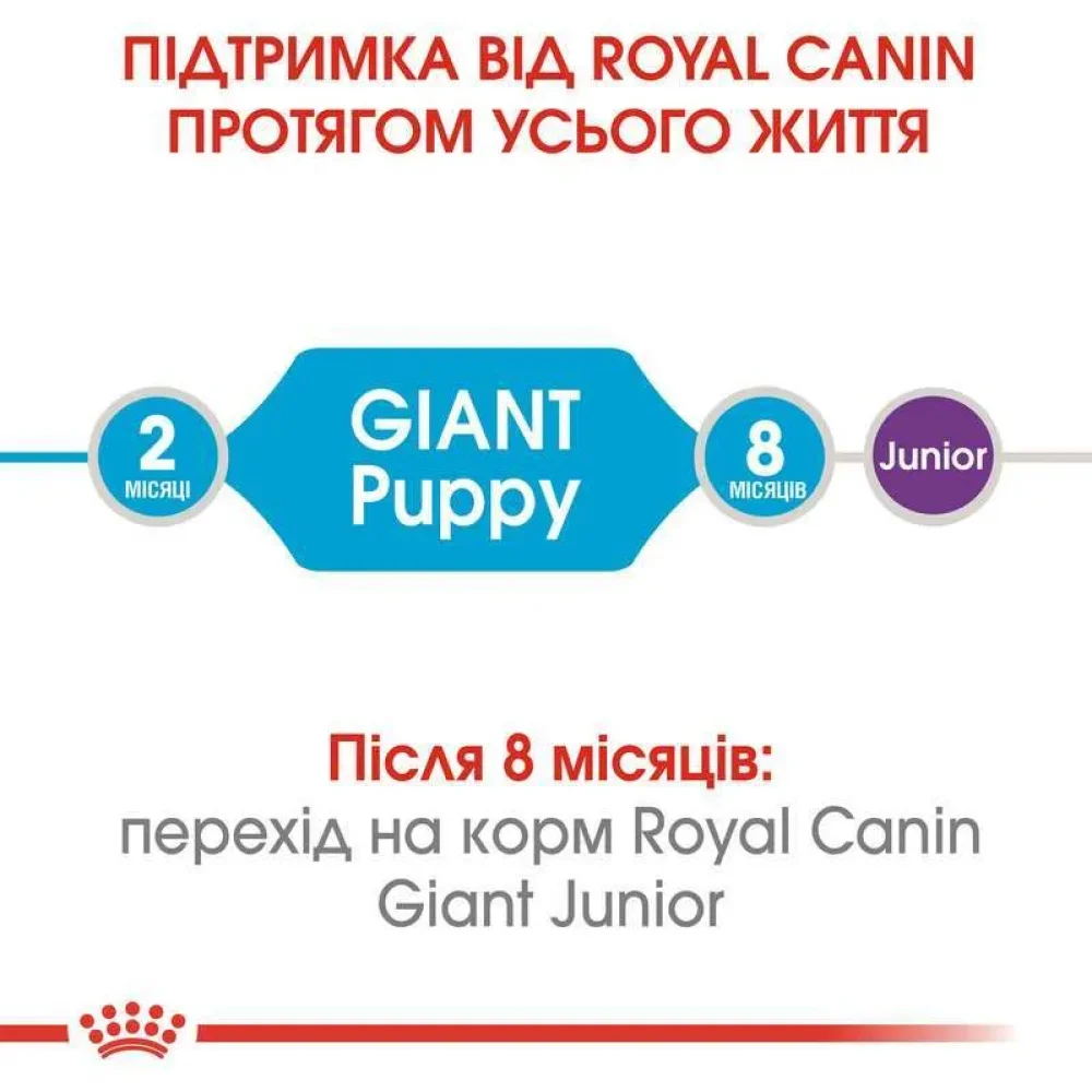 Сухой корм для щенков Royal Canin Giant Puppy 1 кг