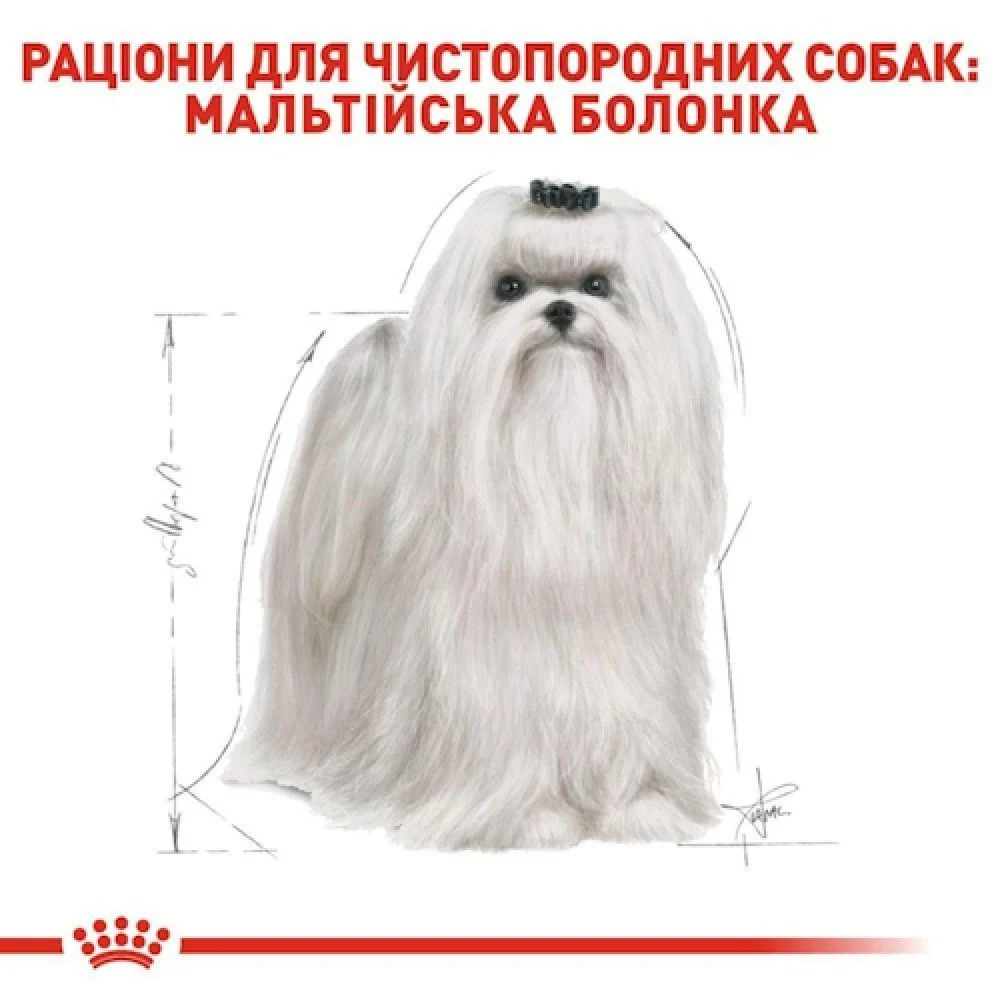 Сухой корм для собак Royal Canin Maltese Adult 1,5 кг