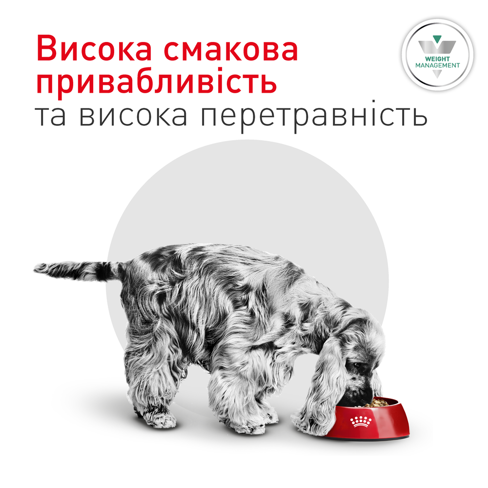 Сухий корм для собак Royal Canin Glycobalance Small Dog 1,5 кг