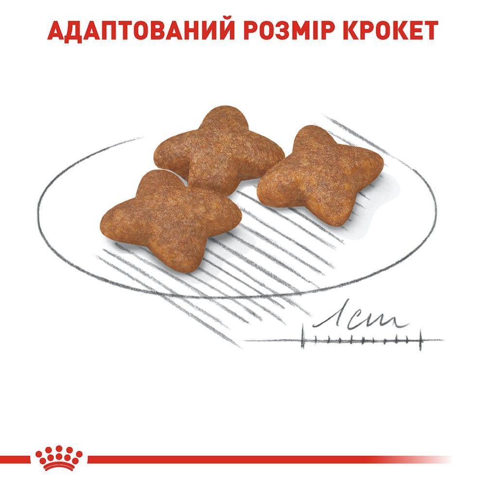 Сухой корм для собак Royal Canin Mini Adult 7+1 кг