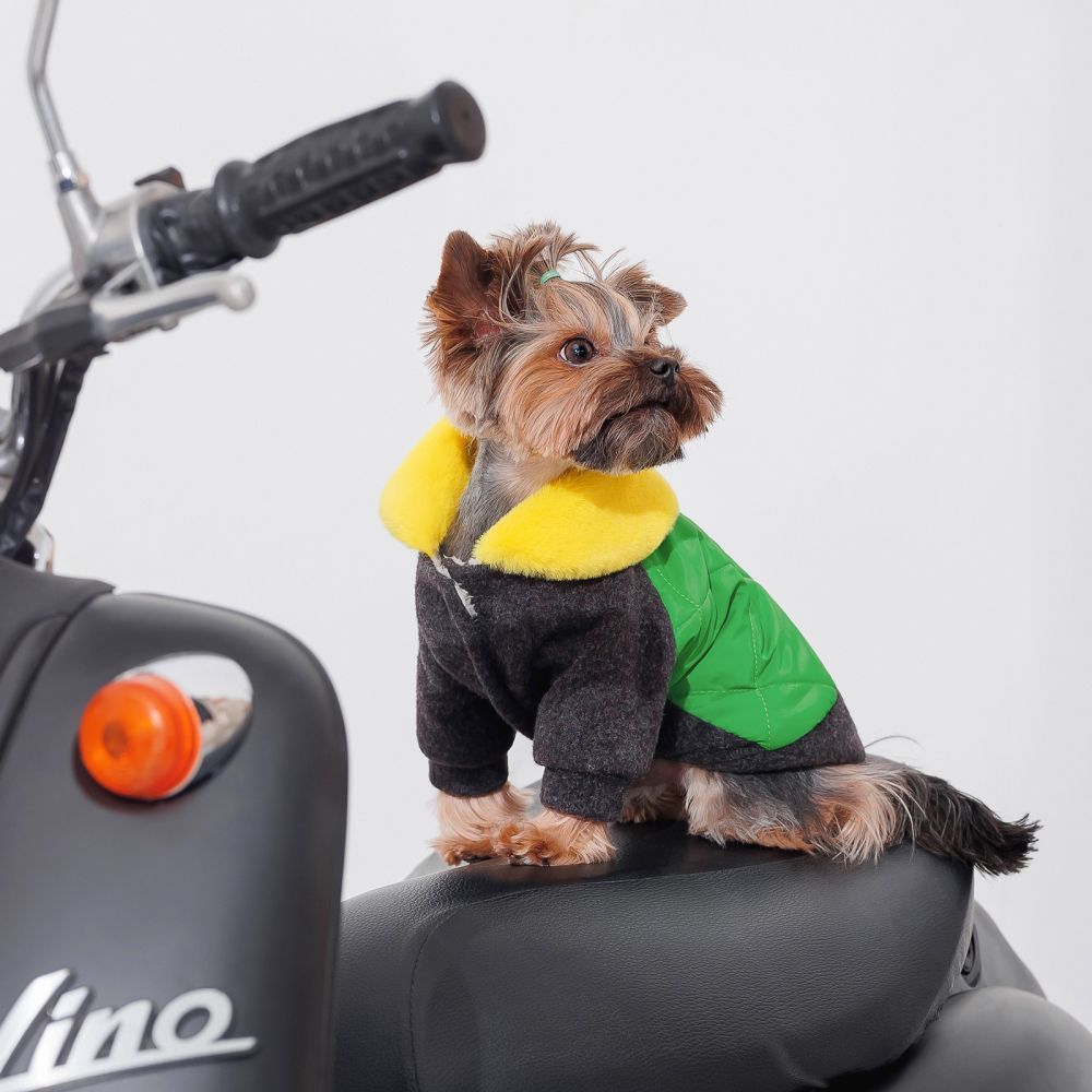 Жакет для собак Budy Boo «Maximilian» XS-2