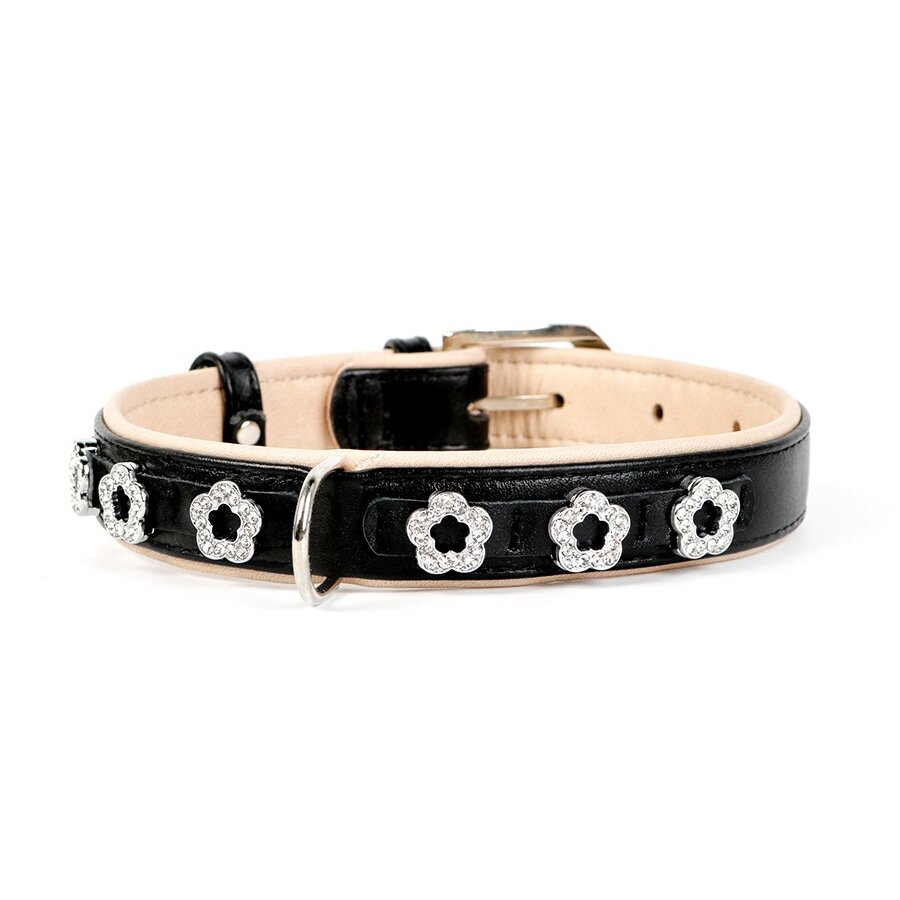 Ошейник Collar кожаный с цветочками «Brilliance» (Бриллианс) 38-49 см / 25 мм (черный) Ошейник Collar кожаный с цветочками «Brilliance» (Бриллианс) 38-49 см / 25 мм (черный)