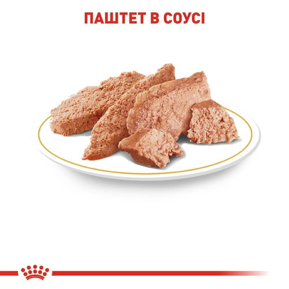 Упаковка влажного корма для собак Royal Canin Chihuahua Adult 9+3 шт. х 85 г