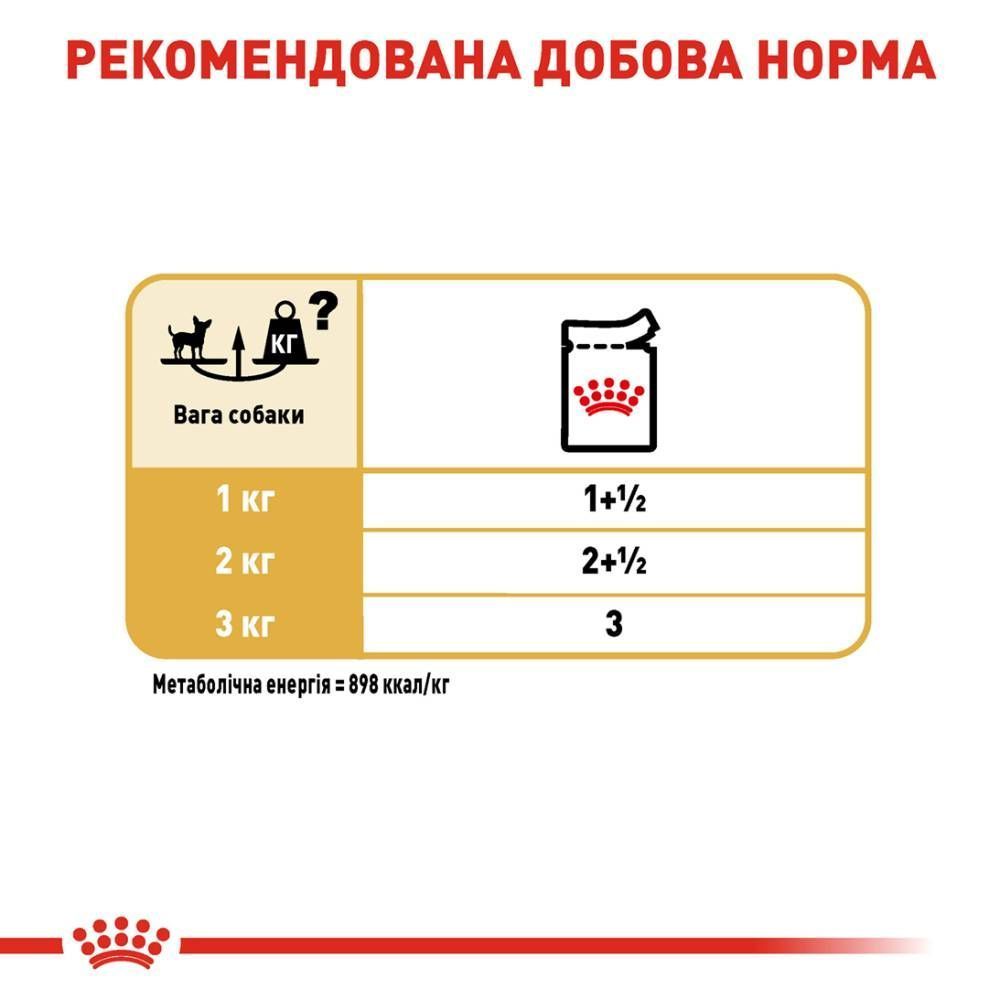 Упаковка влажного корма для собак Royal Canin Chihuahua Adult 9+3 шт. х 85 г