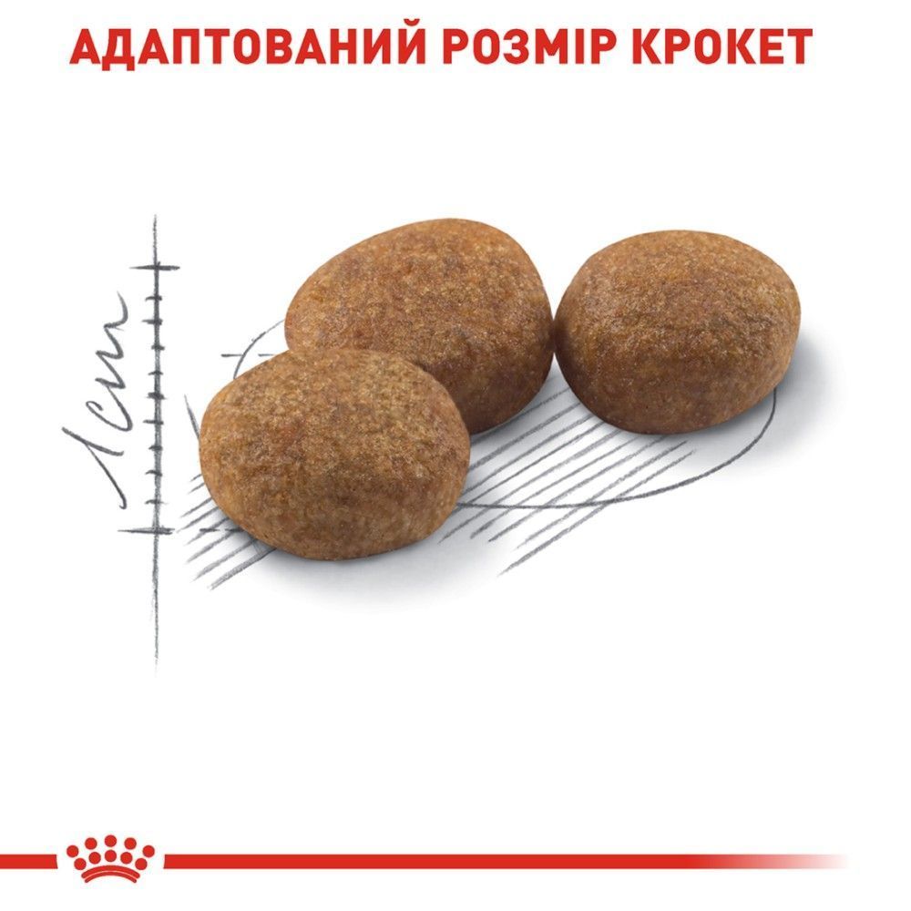 Набор сухого и влажного корма для кошек Royal Canin Sterilised 7+, 400 г + 3 шт х 85 г