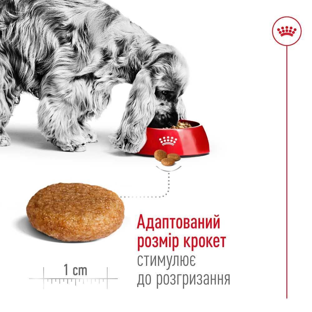Сухий корм для собак Royal Canin Medium Adult 3 кг - домашня птиця Сухий корм для собак Royal Canin Medium Adult 3 кг - домашня птиця