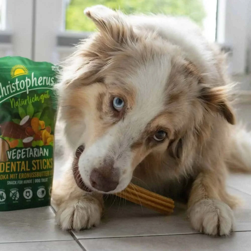 Лакомства для собак Christopherus Dental Stick Vegetarian 250 г — тапиока и арахисовое масло Лакомства для собак Christopherus Dental Stick Vegetarian 250 г — тапиока и арахисовое масло