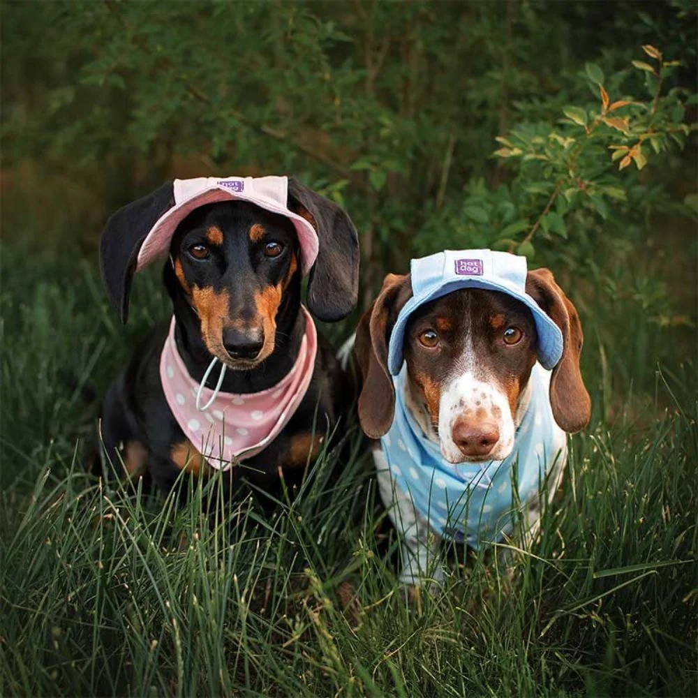 Панама для собак Hat-Dog S - рожевий Панама для собак Hat-Dog S - рожевий