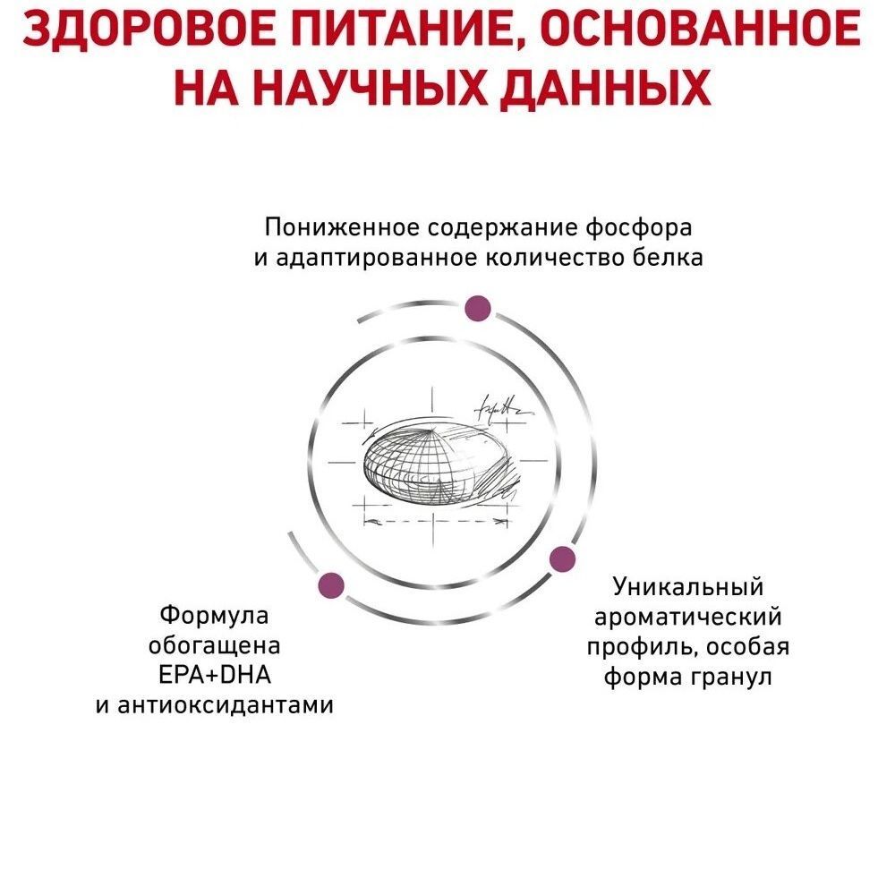 Royal Canin Renal набор сухого и влажного корма для кошек 2 кг + 4 шт х 85 г