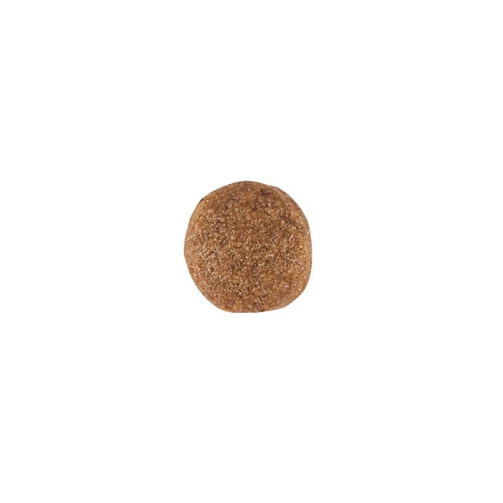 Сухой корм для собак Royal Canin Gastrointestinal 15 кг + 2 кг