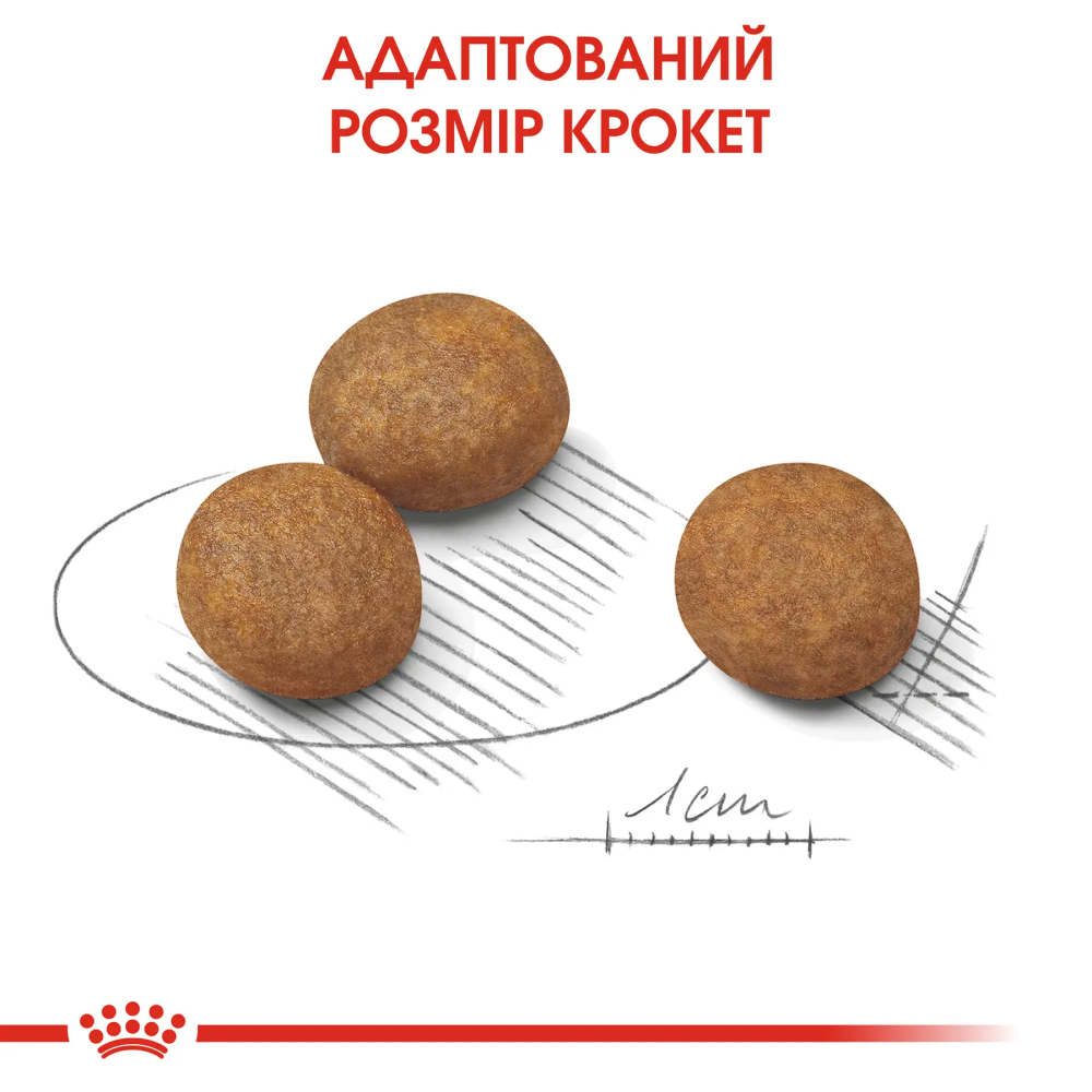 Cухий корм для цуценят Royal Canin Maxi Puppy 3,2 кг + 800 г