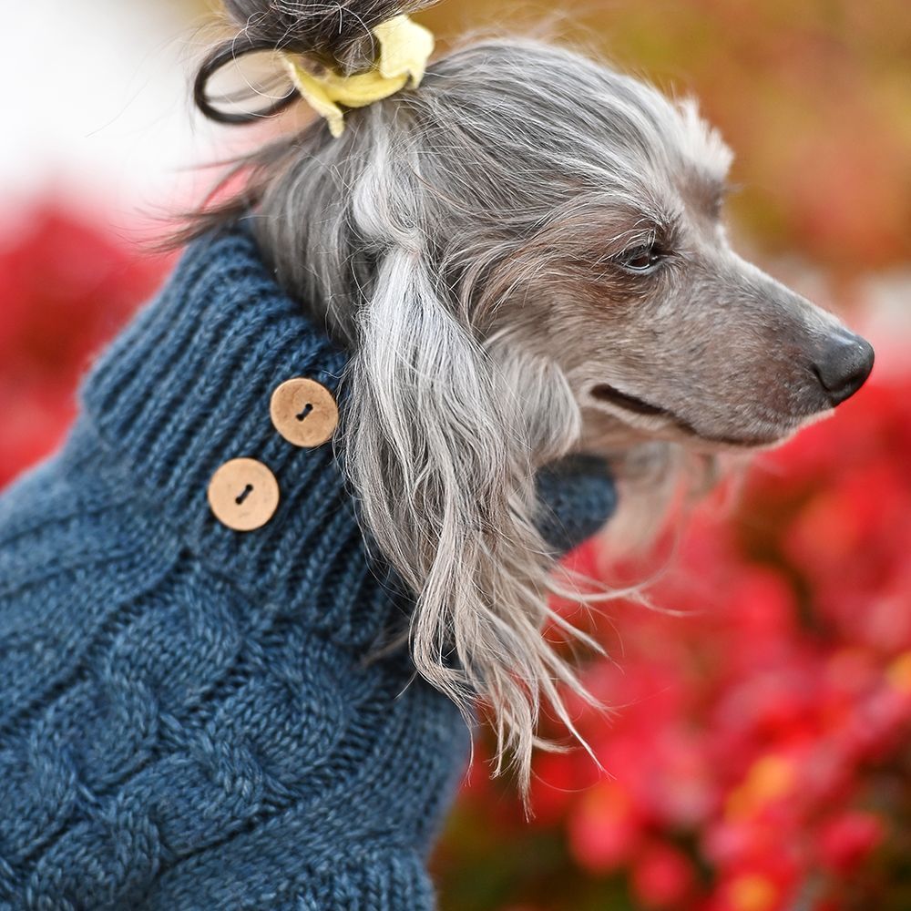 Noble Pet Antony светр для собак XS