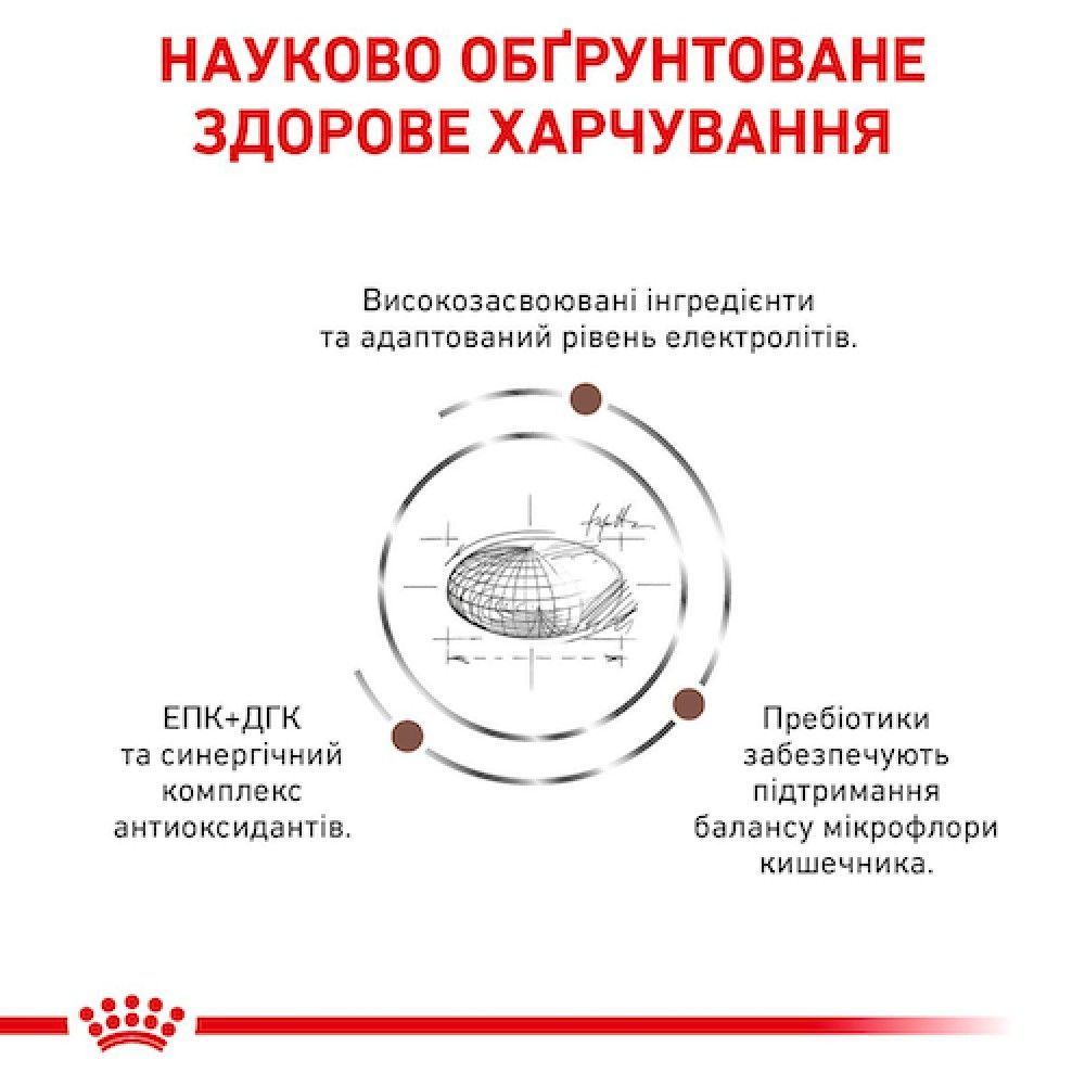 Сухой корм для собак Royal Canin Gastrointestinal 15 кг + 2 кг